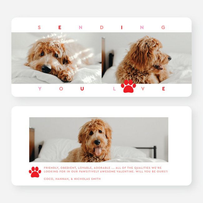 Woof you be mine? Valentine’s Day Cards