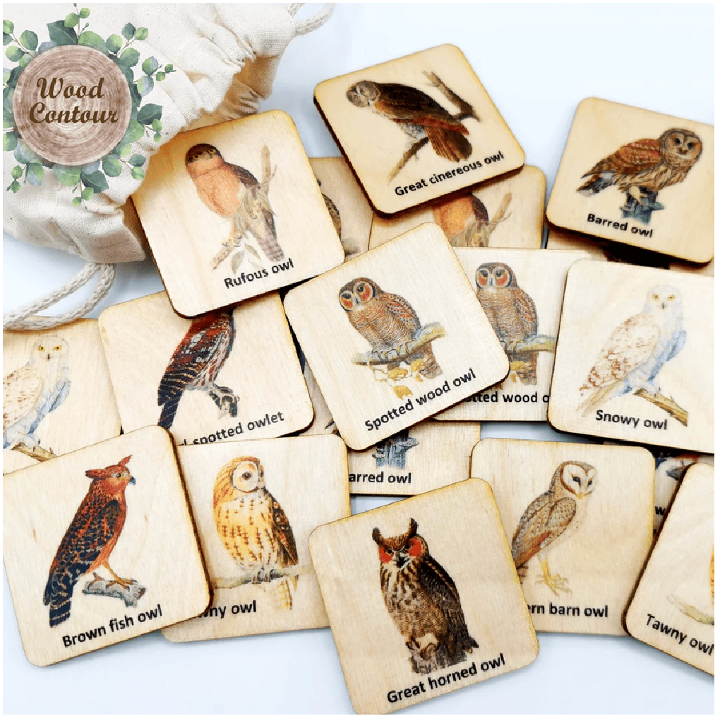 Wooden Owls Matching Memory Game