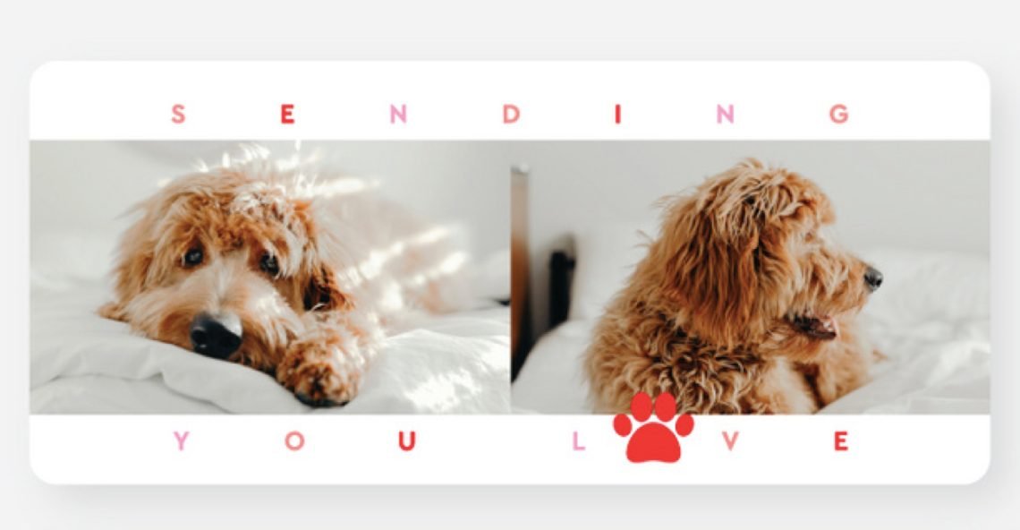 Valentines Day Cards for Everyone