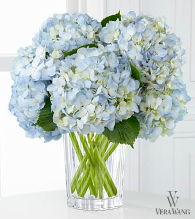 Hanukkah Centerpieces - Light blue hydrangea